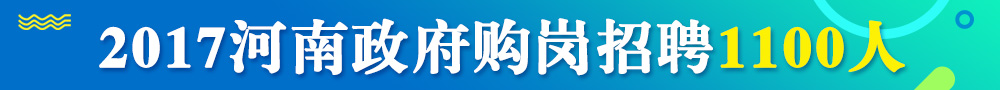 2017河南省政府购岗