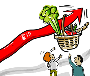 2016年省考时政热点:让菜价稳定
