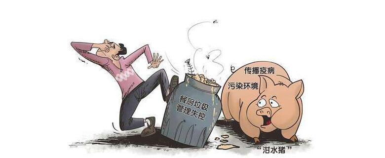 北京公务员面试热点:泔水猪问题要从根子上解决