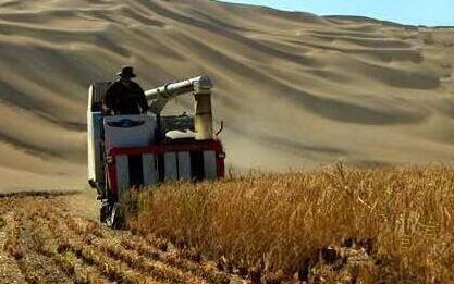 申论国际热点话题2019：沙漠种植水稻成功 热带沙漠长出中国水稻