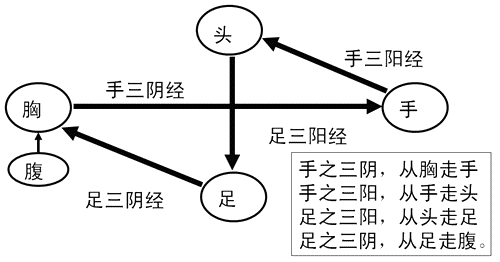 走向和交接规律 十二经络也是中/中西医执业医师